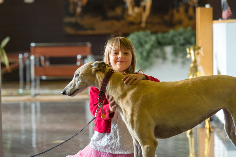 Greyhound-Hall-Of-Fame