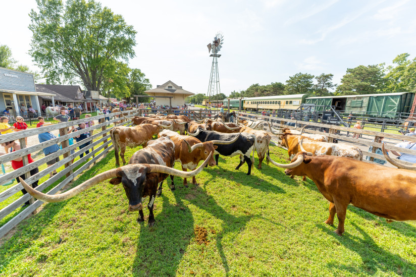 Old-Abilene-Town-Chisholm-Trail-Longhorn-Abilene,KS.jpg