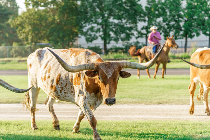 Old-Abilene-Town-Abilene,KS