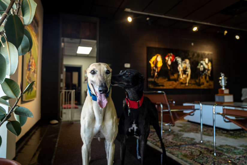 Greyhound-Hall-of-Fame-Museum-Abilene,KS