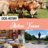 abilenehistory_pinterestgraphic2.jpg