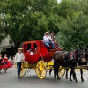 Wild-Heart-Carriage-Abilene,KS