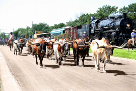 Chisholm-Trail-Abilene,KS-Longhorn